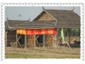 麻涌开心农场 麻涌开心农场