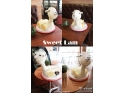 石龙Sweet-Lam星安林 石龙Sweet-Lam星安林