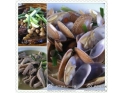 望牛墩镇美味粥档 望牛墩镇美味粥档