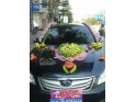 新婚“蕉”车 新婚“蕉”车