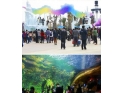 珠海"长隆海洋王国"海洋公园 珠海"长隆海洋王国"海洋公园