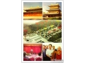 岭南四大寺之一的资福寺将落户东城同沙 岭南四大寺之一的资福寺将落户东城同沙