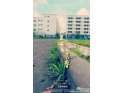 东莞联合技工学校微电影——《律动在足尖上的青春》 东莞联合技工学校微电影——《律动在足尖上的青春》