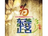 央视都为东莞正名了!东莞的童鞋没理由不看看啊! 央视都为东莞正名了!东莞的童鞋没理由不看看啊!