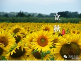 秋意阵阵!东莞童鞋必须要知道的一些入秋小知识! 秋意阵阵!东莞童鞋必须要知道的一些入秋小知识!