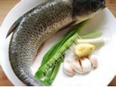 秋季食鱼的九个守则,秋季适合吃的五种鱼! 秋季食鱼的九个守则,秋季适合吃的五种鱼!