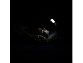 有个后生刷朋友圈刷到心肌梗死,熬夜真係好容易“瓜柴” 有个后生刷朋友圈刷到心肌梗死,熬夜真係好容易“瓜柴”
