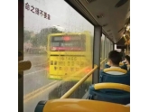 司机爆粗凳穿窿,开车快过龙卷风,呢几路东莞巴士真係搞到人"把鬼火"! 司机爆粗凳穿窿,开车快过龙卷风,呢几路东莞巴士真係搞到人"把鬼火"!