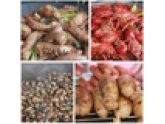 【爆料】东城竟然有个劲多美食的夜市!刷爆朋友圈了! 【爆料】东城竟然有个劲多美食的夜市!刷爆朋友圈了!