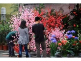 生活在东莞,你一定去过迎春花市!可今年它要搬了! 生活在东莞,你一定去过迎春花市!可今年它要搬了!