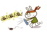 【干货】低于1蚊成本!8个方法教你灭掉家里的小强! 【干货】低于1蚊成本!8个方法教你灭掉家里的小强!